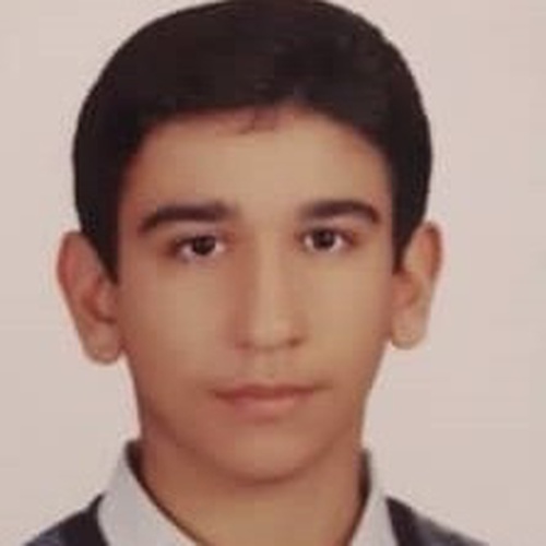 فربد عظیم محسنی